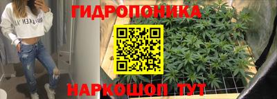 наркотики Будённовск